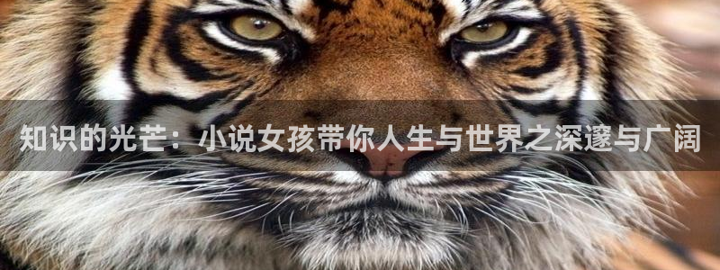 热门小说起点