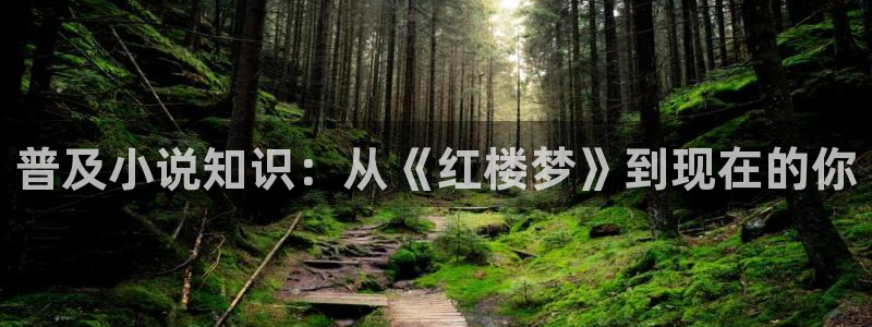 起点小说怎么下载小说