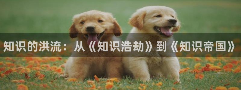 起点火爆小说