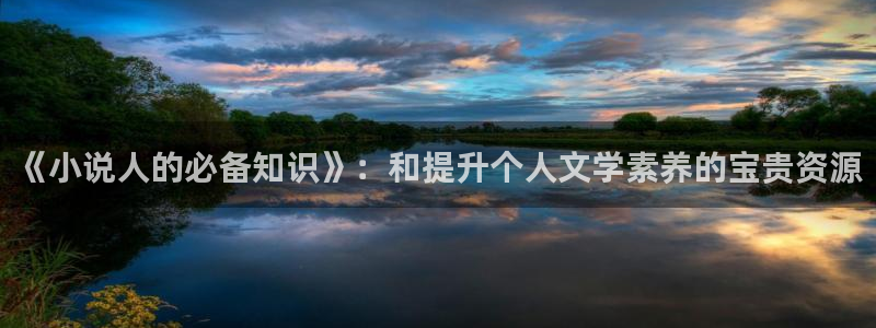 起点小说